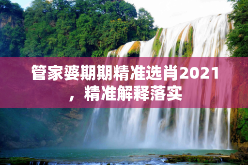 管家婆期期精准选肖2021，精准解释落实