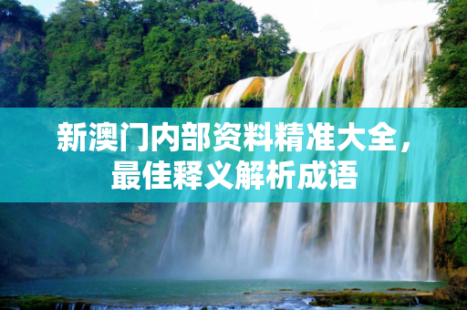新澳门内部资料精准大全，最佳释义解析成语