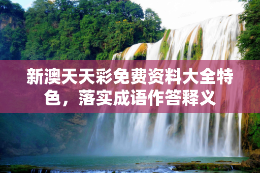 新澳天天彩免费资料大全特色，落实成语作答释义