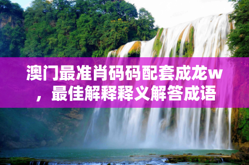 澳门最准肖码码配套成龙w，最佳解释释义解答成语