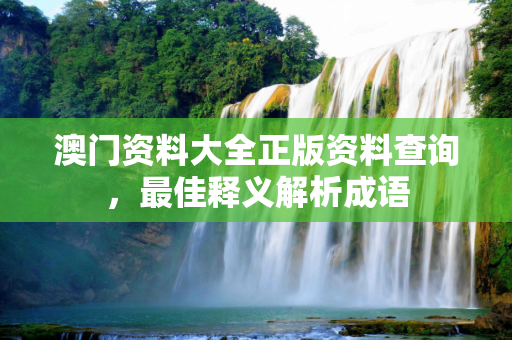 澳门资料大全正版资料查询，最佳释义解析成语