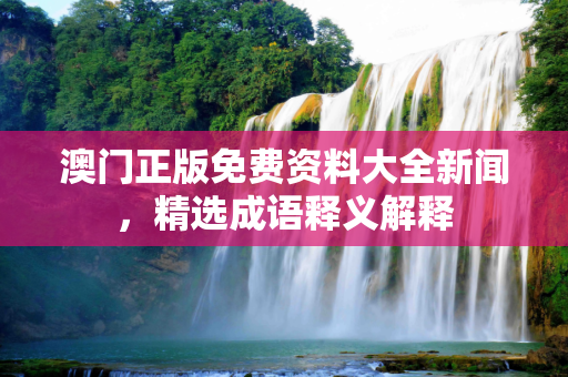 澳门正版免费资料大全新闻，精选成语释义解释