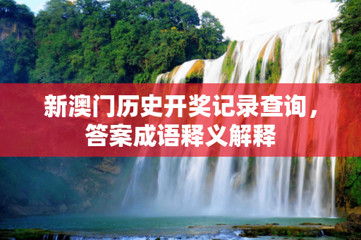 新澳门历史开奖记录查询，答案成语释义解释