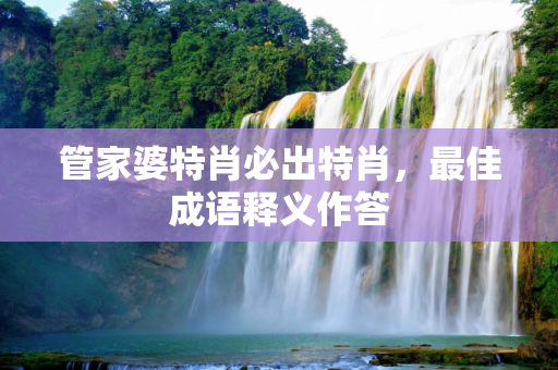 管家婆特肖必出特肖，最佳成语释义作答