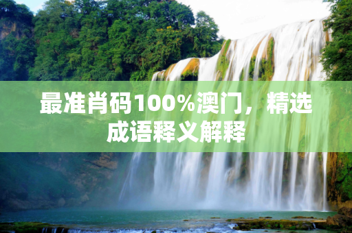 最准肖码100%澳门，精选成语释义解释