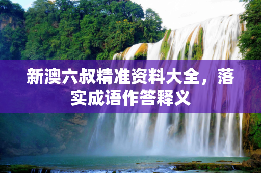 新澳六叔精准资料大全，落实成语作答释义