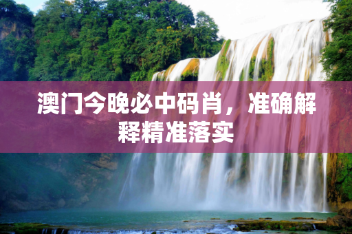 澳门今晚必中码肖，准确解释精准落实