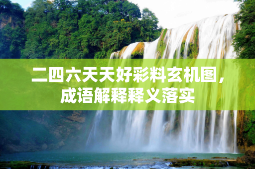 二四六天天好彩料玄机图，成语解释释义落实