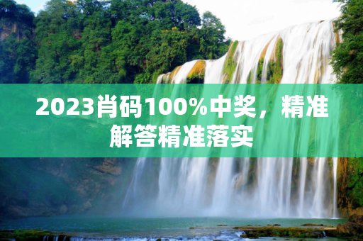 2023肖码100%中奖，精准解答精准落实