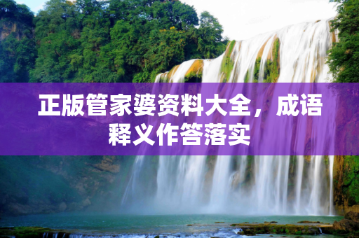 正版管家婆资料大全，成语释义作答落实