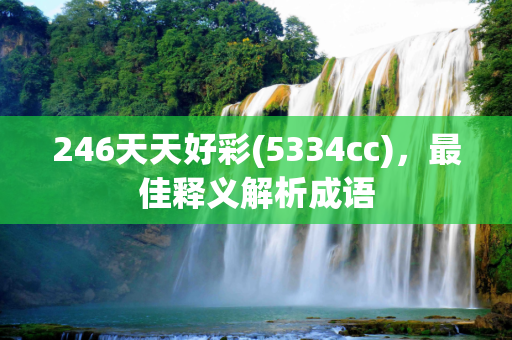 246天天好彩(5334cc)，最佳释义解析成语