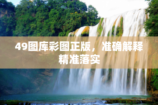 49图库彩图正版，准确解释精准落实