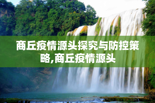 商丘疫情源头探究与防控策略,商丘疫情源头