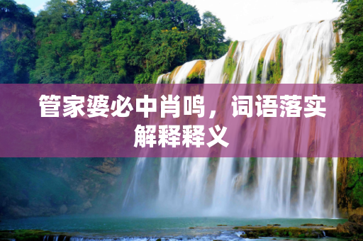 管家婆必中肖鸣，词语落实解释释义