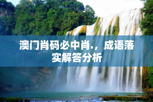 澳门肖码必中肖.，成语落实解答分析