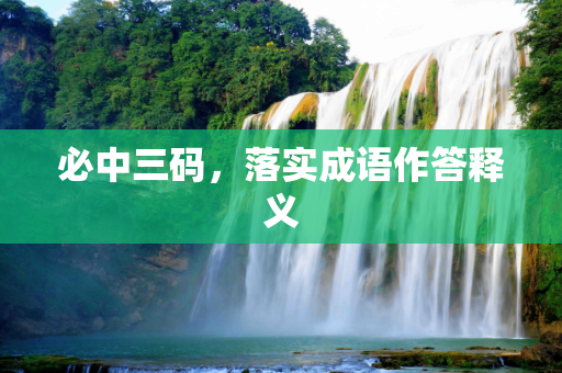必中三码，落实成语作答释义