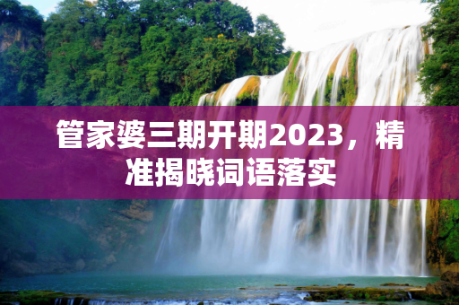 管家婆三期开期2023，精准揭晓词语落实