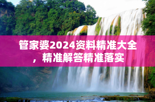 管家婆2024资料精准大全，精准解答精准落实