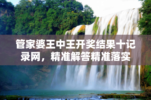 管家婆王中王开奖结果十记录网，精准解答精准落实