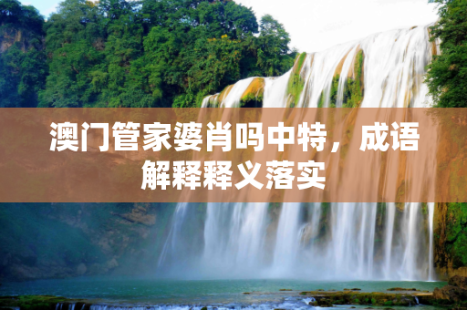 澳门管家婆肖吗中特，成语解释释义落实