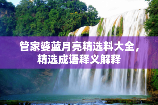 管家婆蓝月亮精选料大全，精选成语释义解释