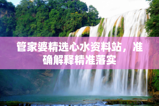 管家婆精选心水资料站，准确解释精准落实