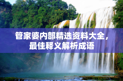 管家婆内部精选资料大全，最佳释义解析成语