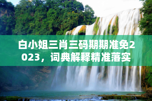 白小姐三肖三码期期准免2023，词典解释精准落实