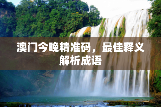 澳门今晚精准码，最佳释义解析成语