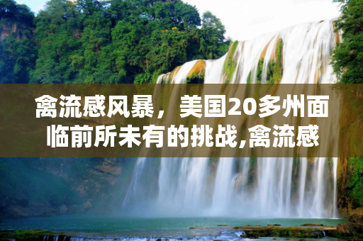 禽流感风暴，美国20多州面临前所未有的挑战,禽流感席卷美国20多州