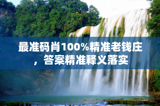 最准码肖100%精准老钱庄，答案精准释义落实