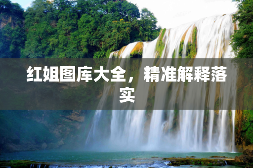 红姐图库大全，精准解释落实