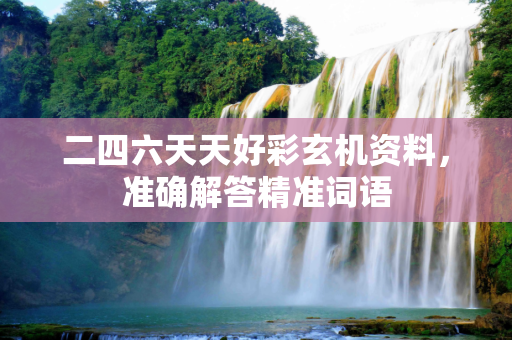 二四六天天好彩玄机资料，准确解答精准词语
