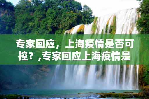 专家回应，上海疫情是否可控？,专家回应上海疫情是否可控