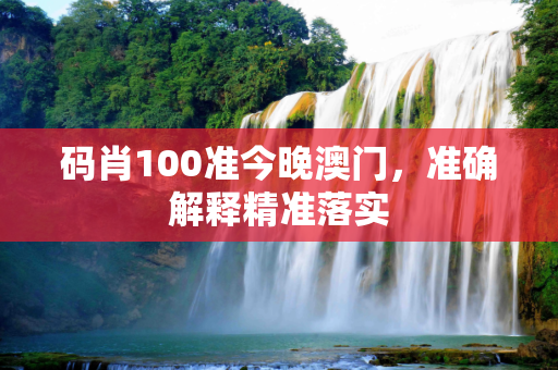 码肖100准今晚澳门，准确解释精准落实