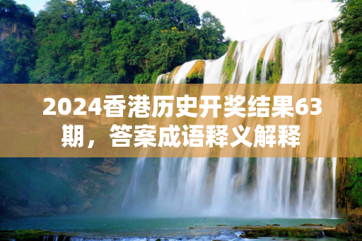 2024香港历史开奖结果63期，答案成语释义解释