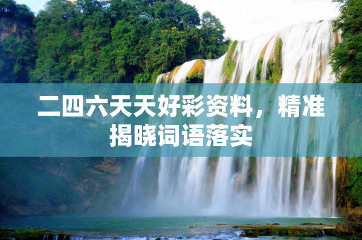 二四六天天好彩资料，精准揭晓词语落实