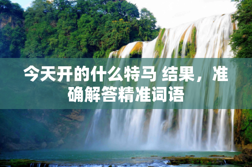 今天开的什么特马 结果，准确解答精准词语