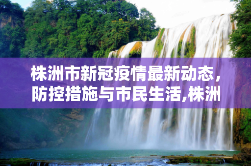 株洲市新冠疫情最新动态，防控措施与市民生活,株洲新冠疫情最新消息