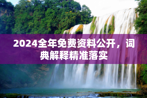 2024全年免费资料公开，词典解释精准落实