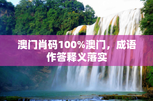 澳门肖码100%澳门，成语作答释义落实