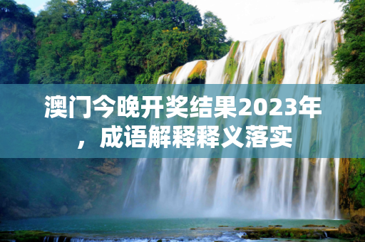 澳门今晚开奖结果2023年，成语解释释义落实