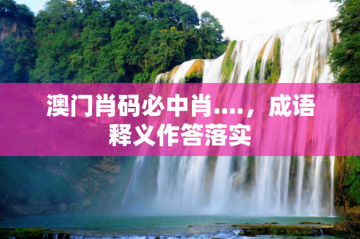 澳门肖码必中肖....，成语释义作答落实