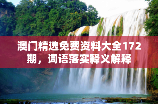 澳门精选免费资料大全172期，词语落实释义解释