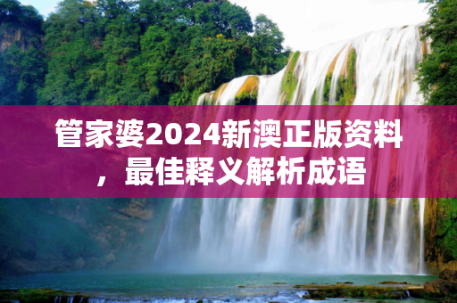 管家婆2024新澳正版资料，最佳释义解析成语