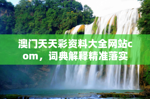 澳门天天彩资料大全网站com，词典解释精准落实
