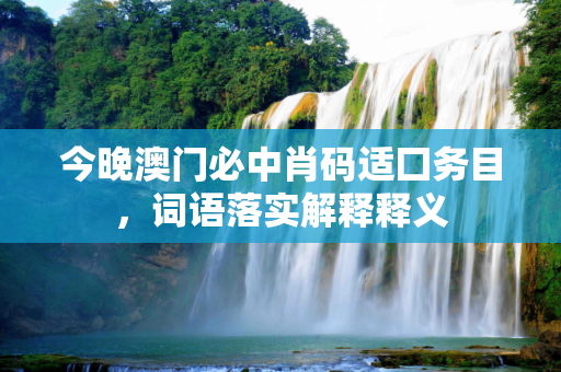 今晚澳门必中肖码适囗务目，词语落实解释释义