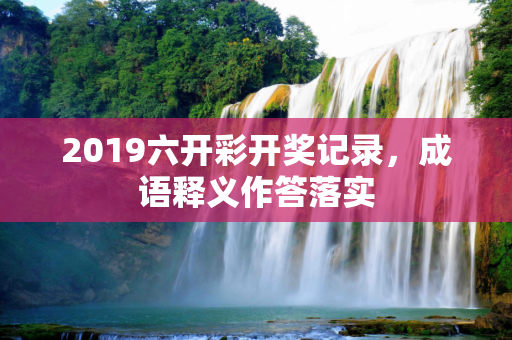 2019六开彩开奖记录，成语释义作答落实