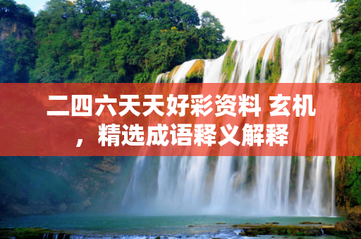 二四六天天好彩资料 玄机，精选成语释义解释