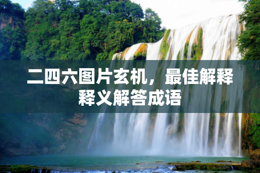 二四六图片玄机，最佳解释释义解答成语